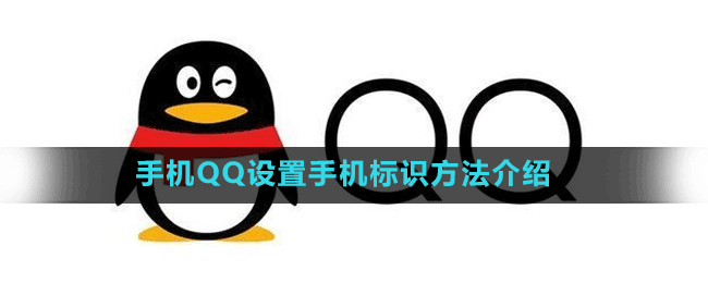 手機(jī)QQ設(shè)置手機(jī)標(biāo)識方法介紹