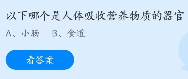 《支付寶》螞蟻莊園2023年5月31日每日一題答案