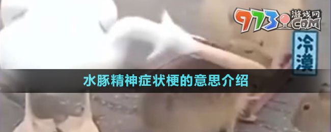 水豚精神癥狀梗的意思介紹