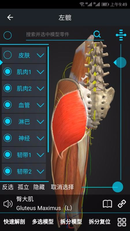 醫(yī)維度截圖(4)