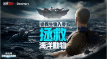 《末日喧囂》×Discovery頻道「世界海洋日」限定活動(dòng)開啟，海洋危機(jī)TVC同步釋出！