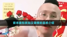 紫米面包猶如漢堡梗的意思介紹