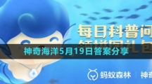 《支付寶》神奇海洋5月19日答案分享