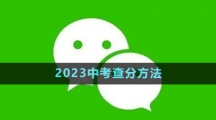 《微信》2023中考查分方法