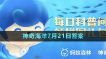 《支付寶》神奇海洋2023年7月21日答案