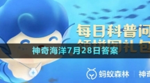 《支付寶》神奇海洋2023年7月28日答案