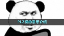 《抖音》PLZ梗的意思介紹