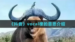 《抖音》vocal梗的意思介紹